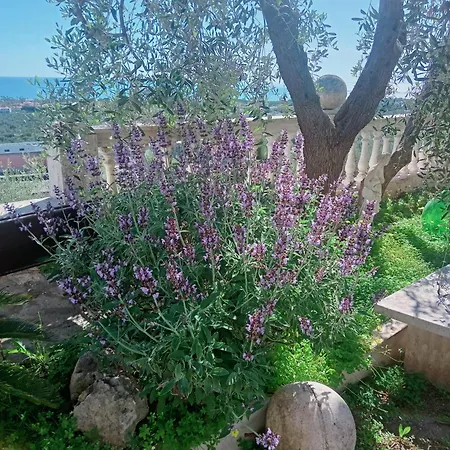 Residenza Collina Dei Pini 4*