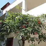 Residenza Collina Dei Pini 3* Vieste