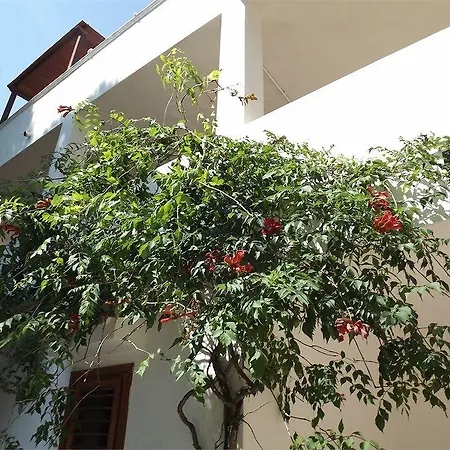 Residenza Collina Dei Pini 3* ヴィエステ