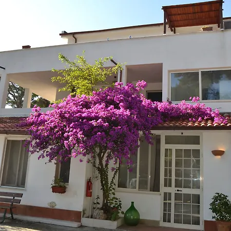 Residenza Collina Dei Pini 3* Βιέστε