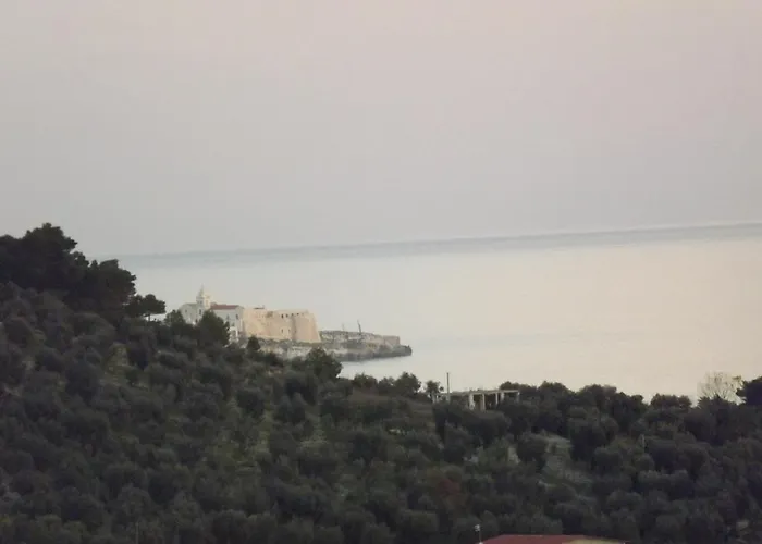 Collina Dei Pini