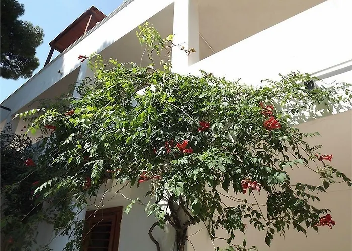Residenza Collina Dei Pini 4* ויאסטה
