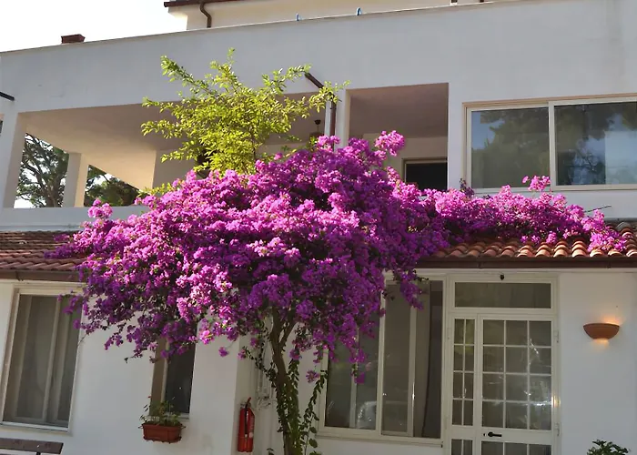 Residenza Collina Dei Pini 4* ויאסטה
